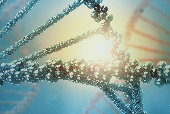 PGT-SR (Preimplantation Genetic Testing for Structural Rearrangements)