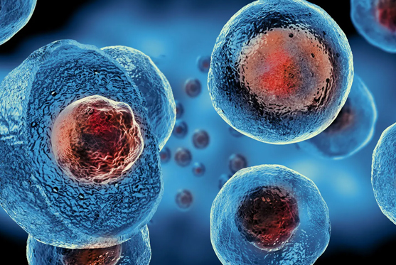 Stem Cell Therapy
